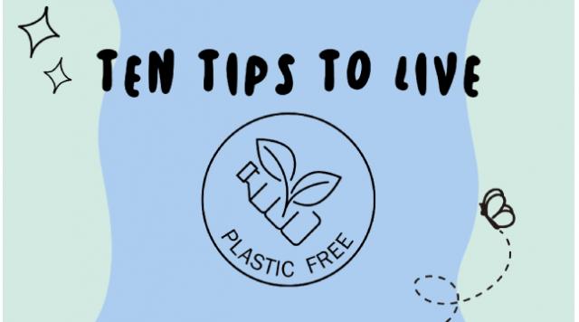 Bỏ túi 10 mẹo sống không nhựa bảo vệ môi trường 