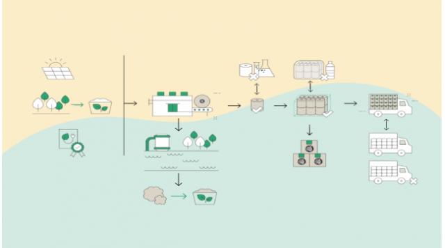 Quy trình sản xuất giấy tre tại Châu Âu