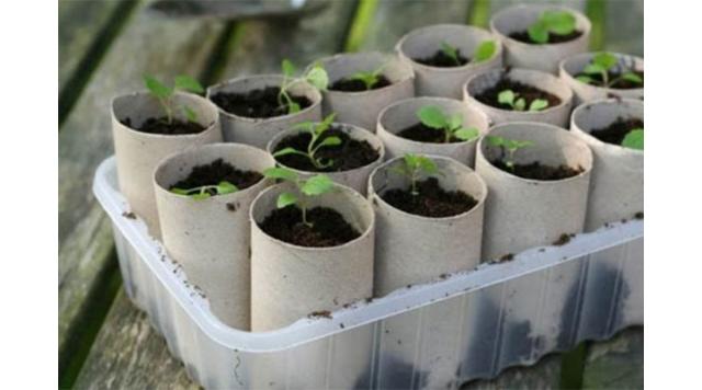 Giải đáp thắc mắc: Giấy vệ sinh có làm tắc bồn cầu không?