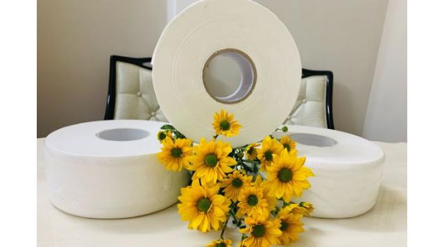 Tìm nguồn sỉ giấy vệ sinh chất lượng giá cả hợp lý nhất trên thị trường